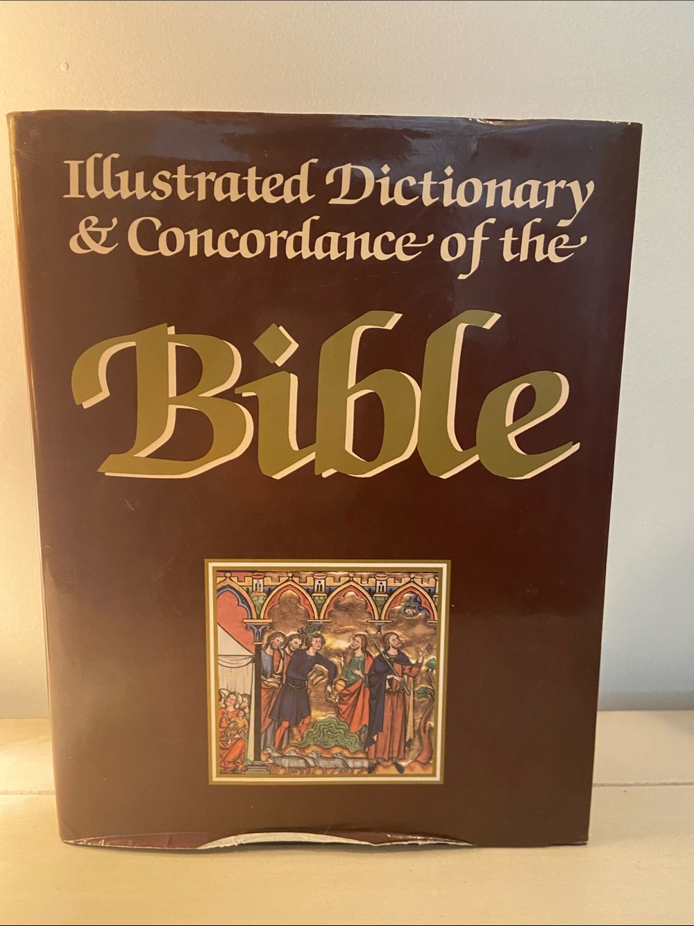 1986 Illustrated Dictionary & Concordance of the Bible Jerusalem Publishing VTG
